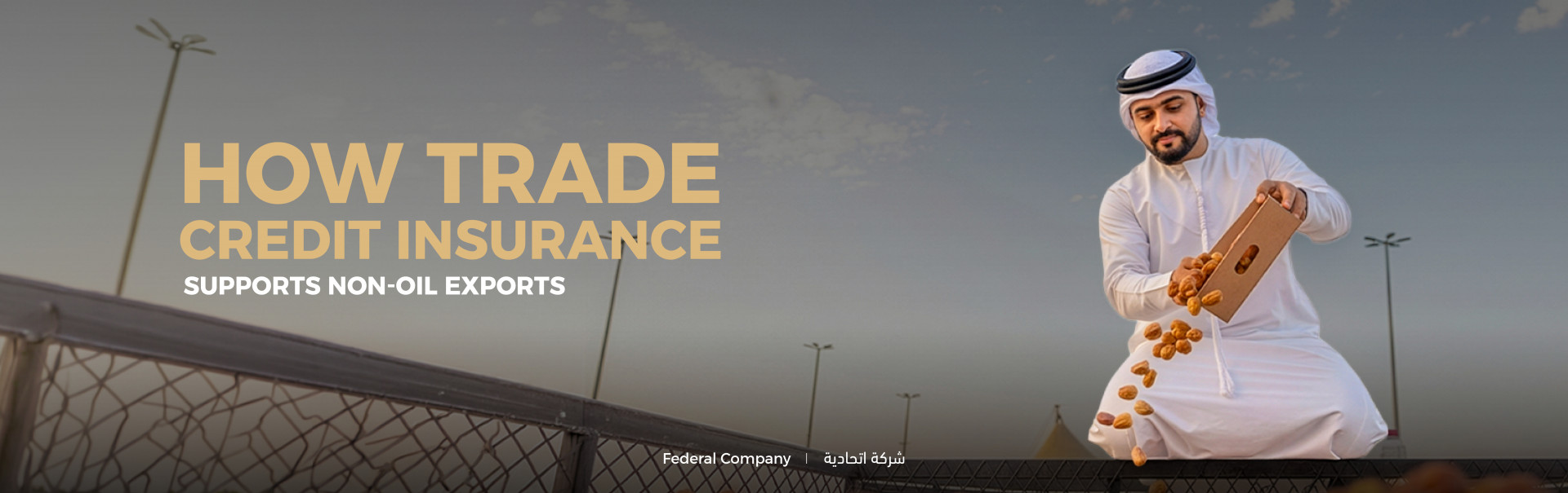 How Trade Credit Insurance Supports Non-Oil Exports