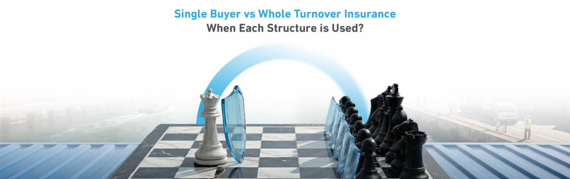 Single Buyer vs Whole Turnover Insurance